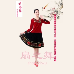 韓國絨前貼亮片繡花上衣+三層金邊織帶撞花大擺裙
