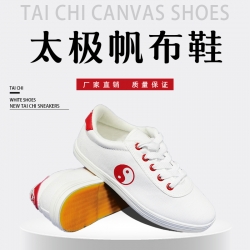 太極鞋帆布
